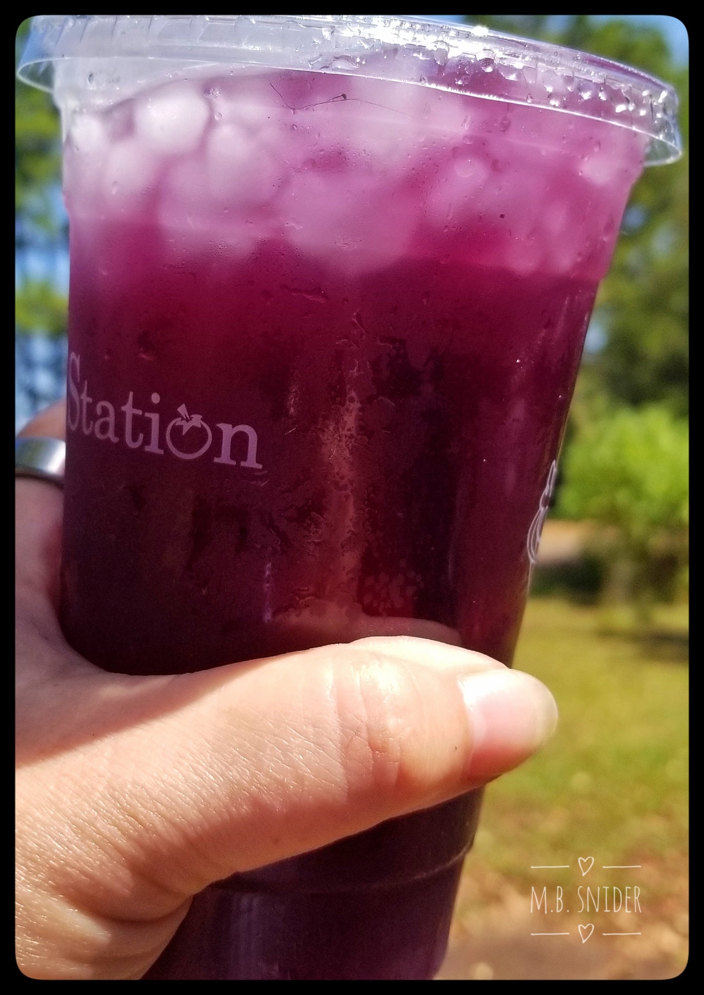 Butterfly Pea Flower Tea