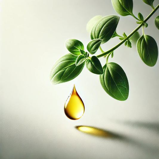 Oregano Oil