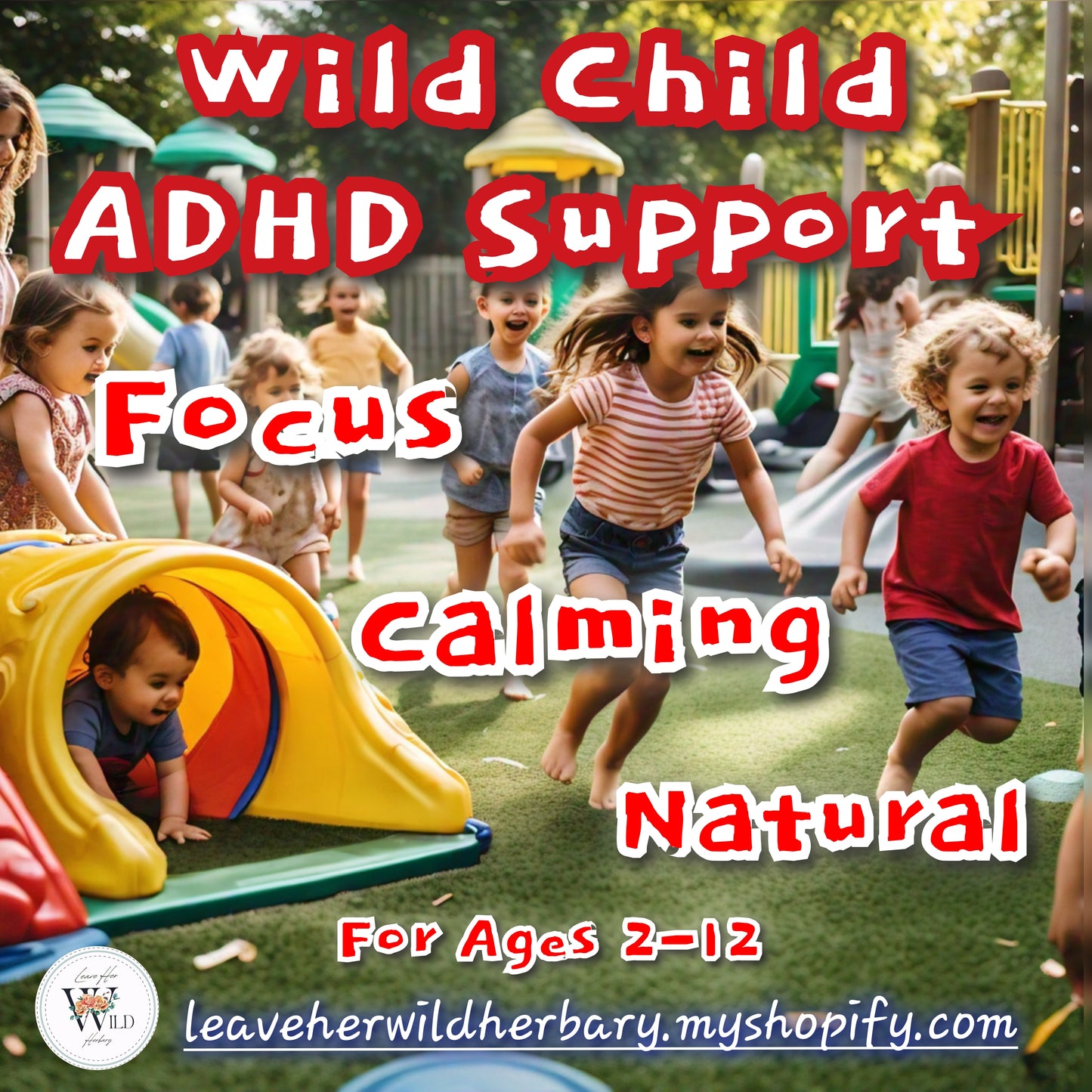 Wild Child ADHD Support