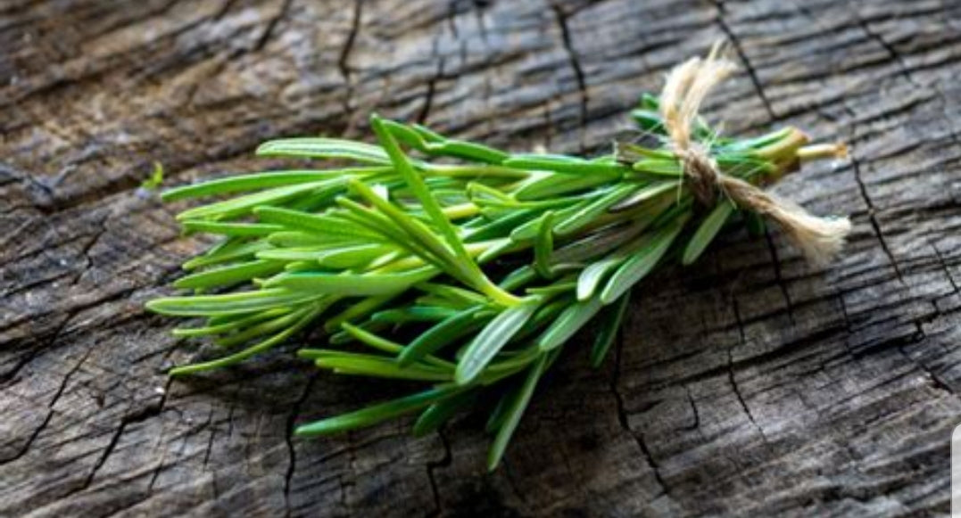 Rosemary Tincture