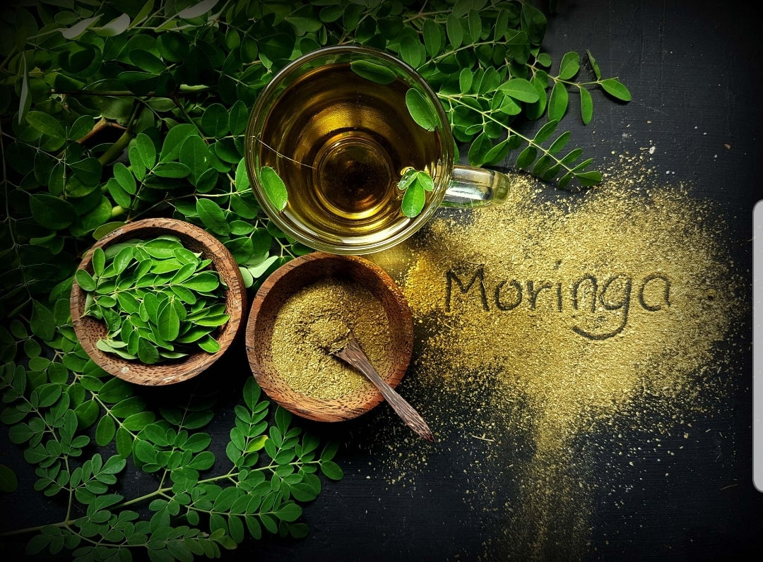 Moringa Tincture